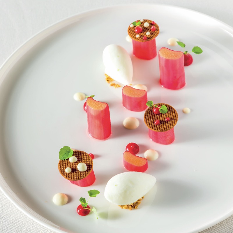 Rhubarbe en textures sorbet fromage blanc