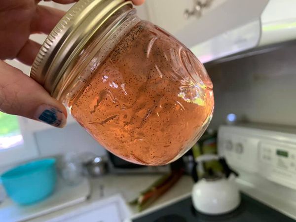 Gelée de rhubarbe-vanille