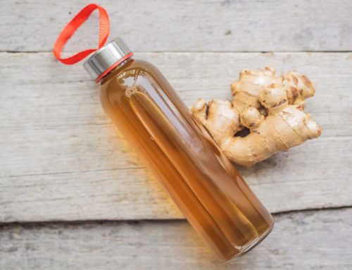 Recette de kombucha local au houblon