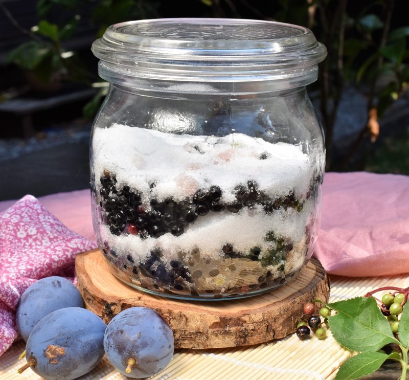 Cheong – Comment faire un sirop de fruit fermenté