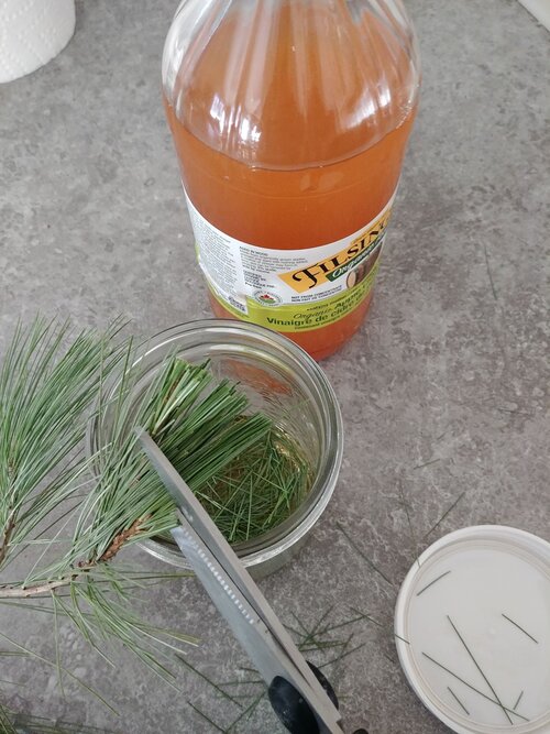 Vinaigre de mélèse