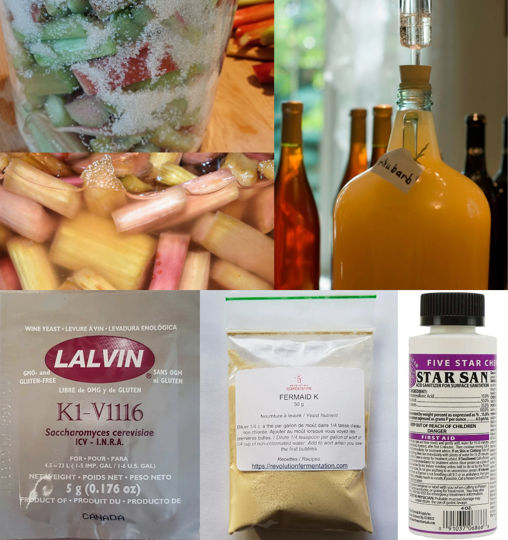 Vin de rhubarbe en cinq étapes