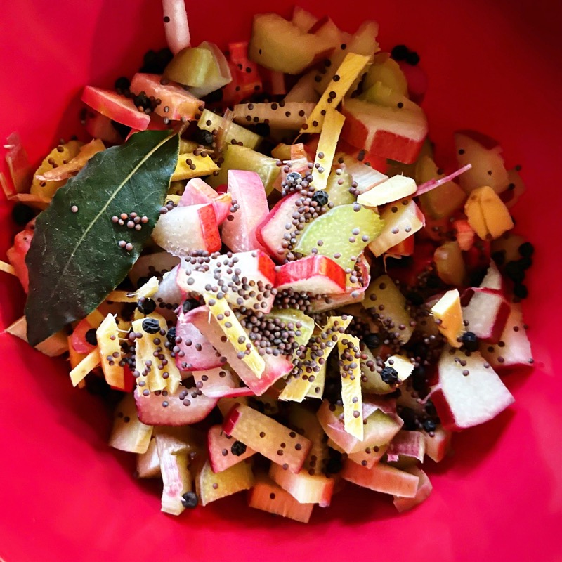 Rhubarbe marinée facile