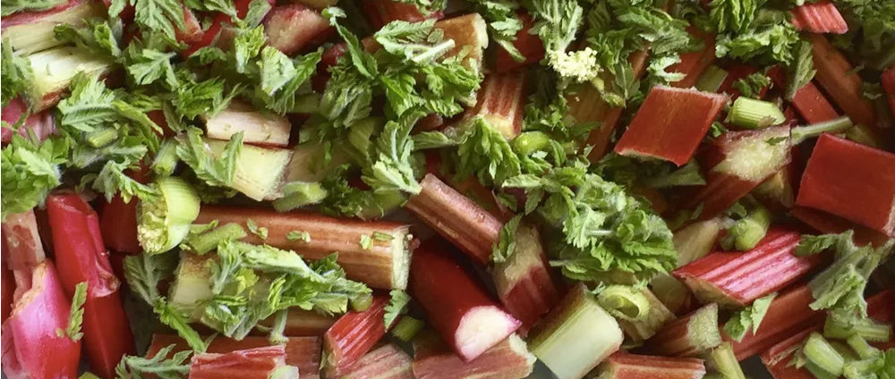 Tarte à la rhubarbe et au cerfeuil musqué