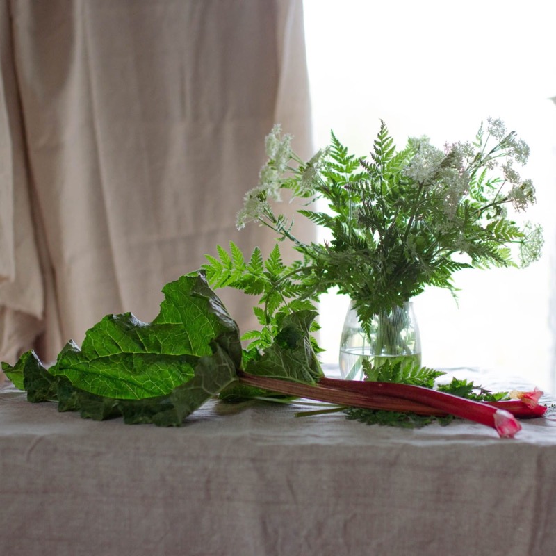 Compote de Rhubarbe, cerfeuil musqué et gingembre