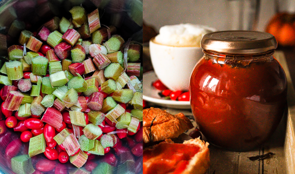 Confiture de rhubarbe et d'églantier