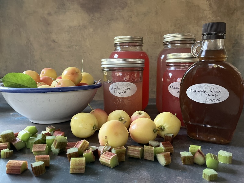 Sirop de camomille sauvage (Matricaire odorante) - Pour Soda à la rhubarbe