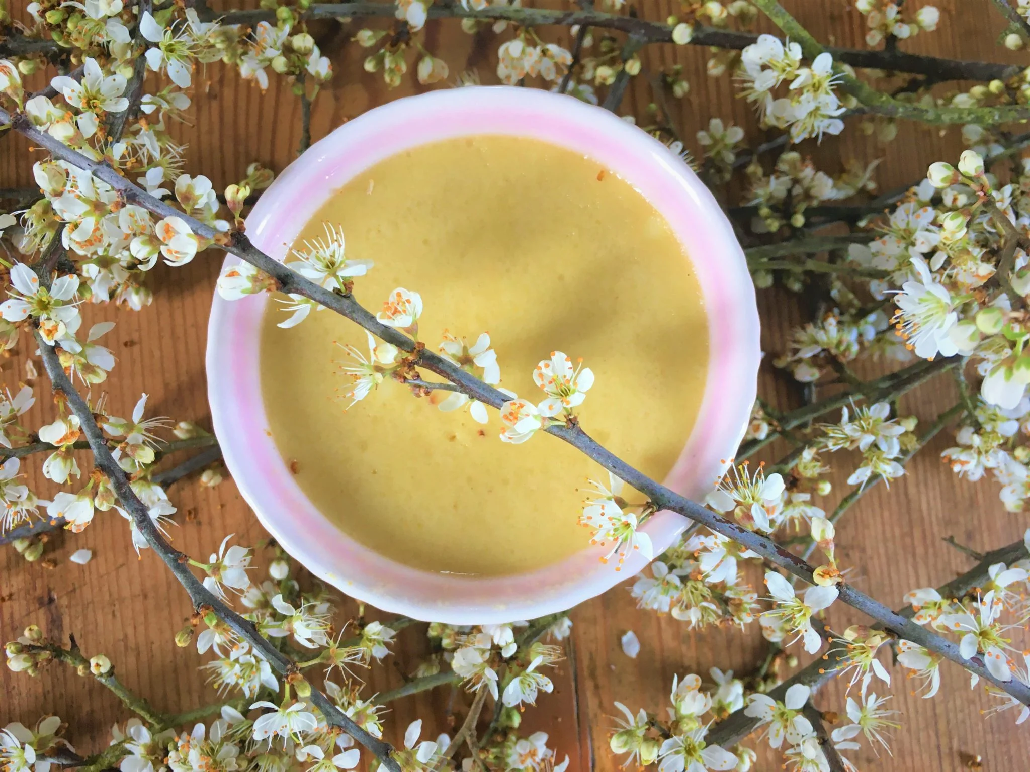 Crème dessert aux fleurs de prunellier