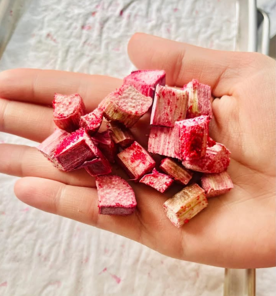 Rhubarbe confite Lyophilisée