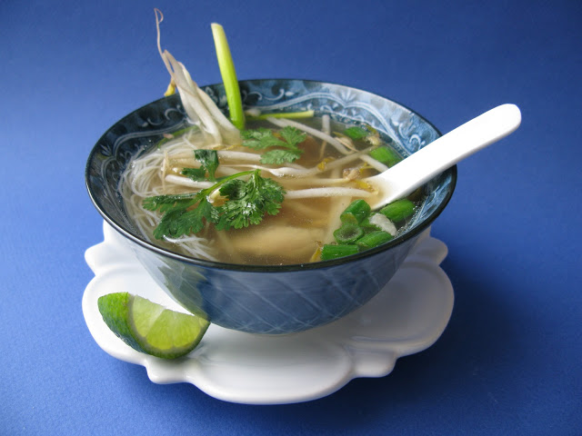 Bouillon vietnamien et sa soupe tonkinoise au poulet