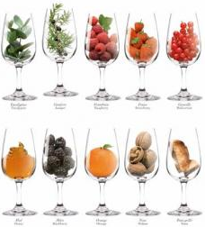 Principes de l'harmonie des vins avec les mets