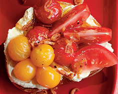 Dégradé de tomates fraîches et rôties sur pain noirci