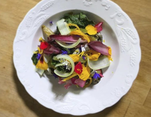 Salade d'endives confites, daïkon et radis, tempeh et vinaigrette yuzu et ail noir