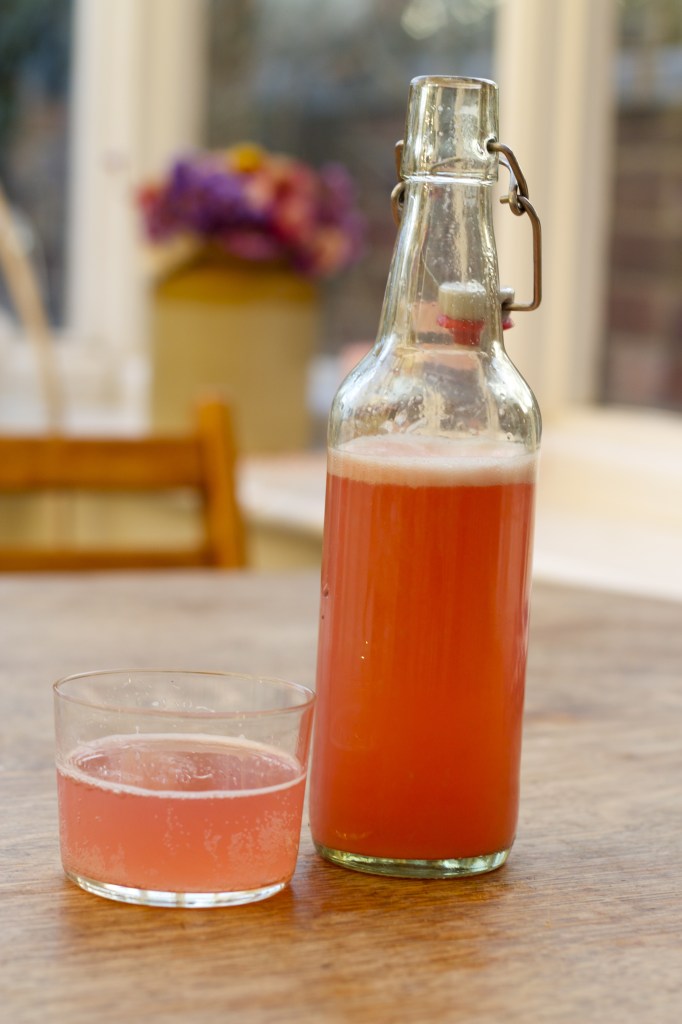 Rhubarbe et du soda au miel lacto-fermenté