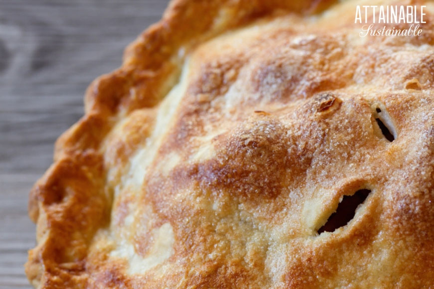 Pâte à tarte de grand-mère - Grandma's Pie Crust Recipe