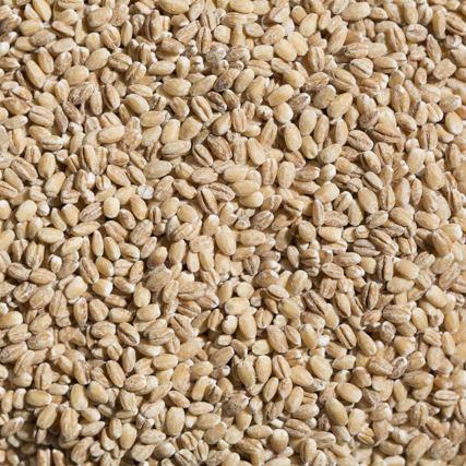 Orge perlé - Guide de cuisson des grains