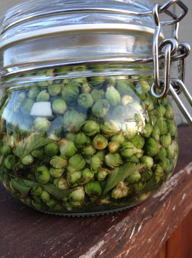 Boutons de fleurs lactofermentés