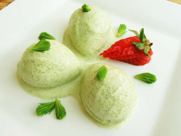 Crème glacée au sapin