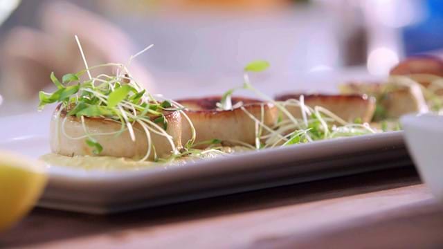 Houmous au safran avec pleurotes 