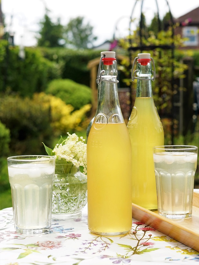Remontant de fleur de sureau - Elderflower Cordial