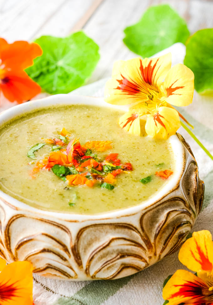 Soupe d'été à la capucine servie chaude ou froide
