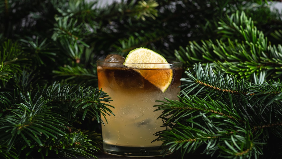 Soda sauvage aux conifères (bière d’épinette)